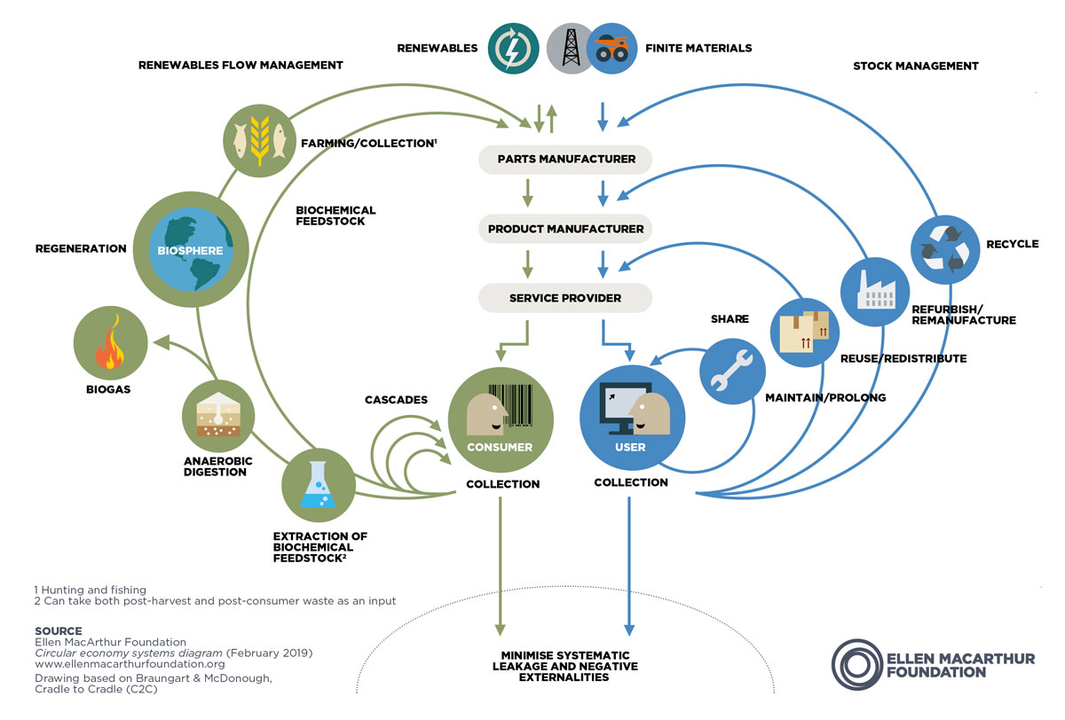 circular economy butterfly