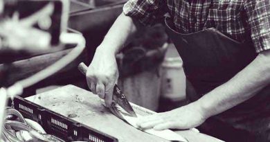 the minimum viable product